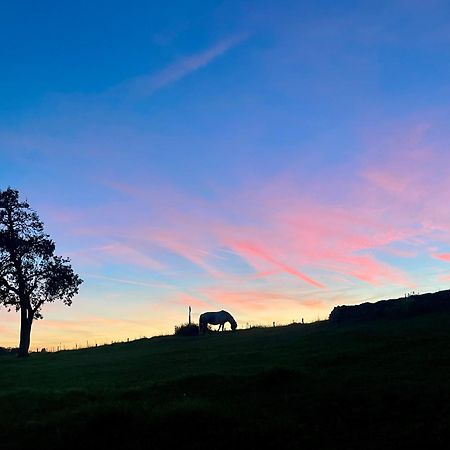 Auszeit Altenhorst, Gartenferienwohnung Schalksmuhle Zewnętrze zdjęcie