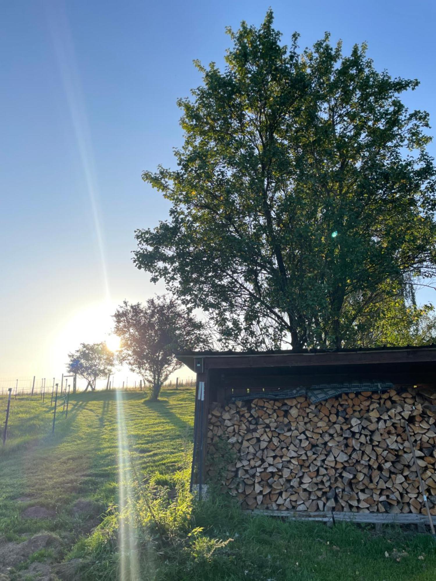 Auszeit Altenhorst, Gartenferienwohnung Schalksmuhle Zewnętrze zdjęcie