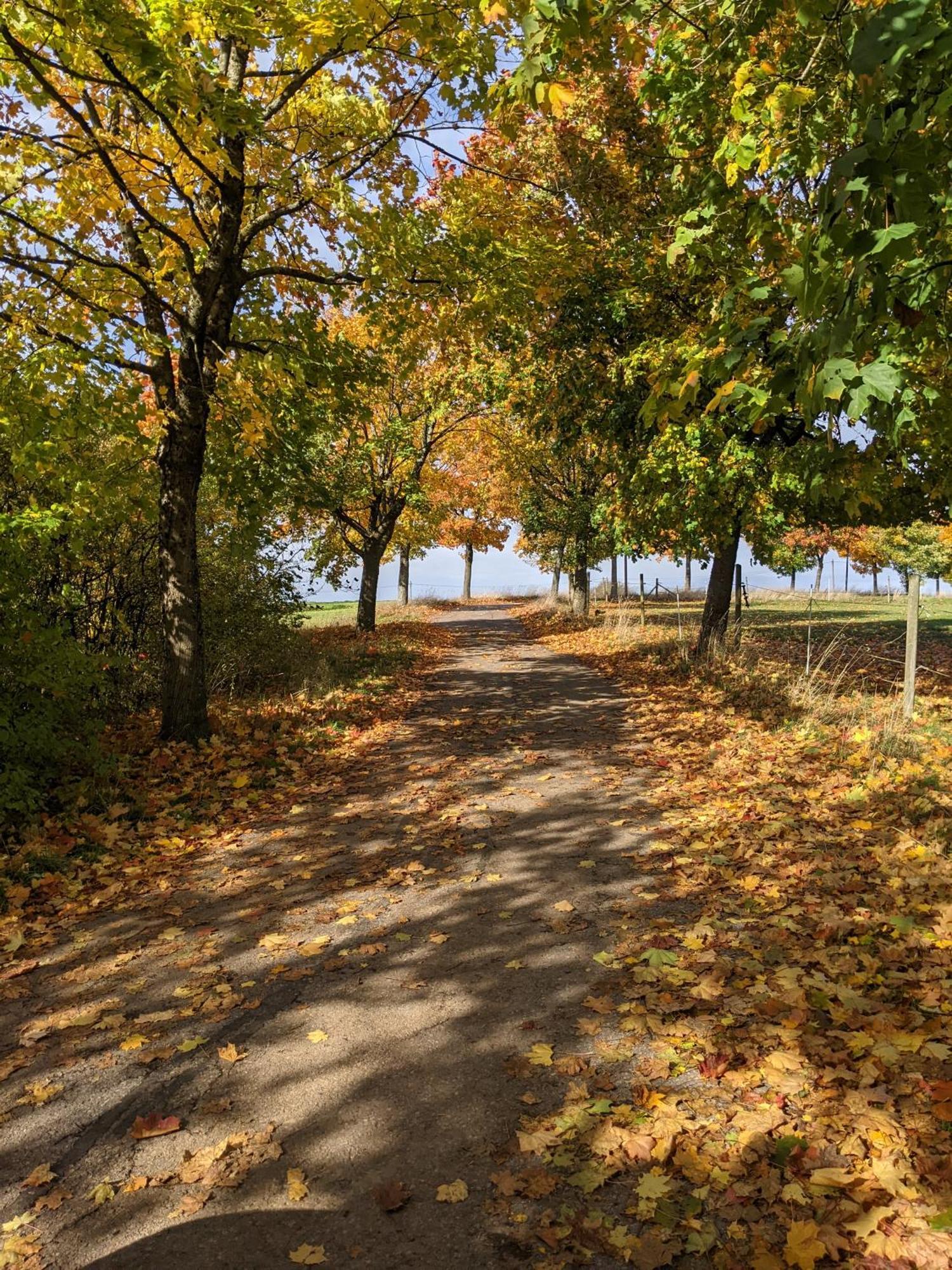 Auszeit Altenhorst, Gartenferienwohnung Schalksmuhle Zewnętrze zdjęcie